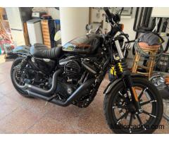 Harley Davidson IRON 883